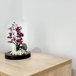 Seaside 2br Appartement *