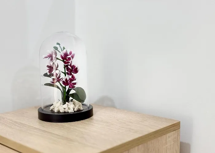 Seaside 2br Appartement *